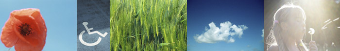 photographie panoramique Photothèque